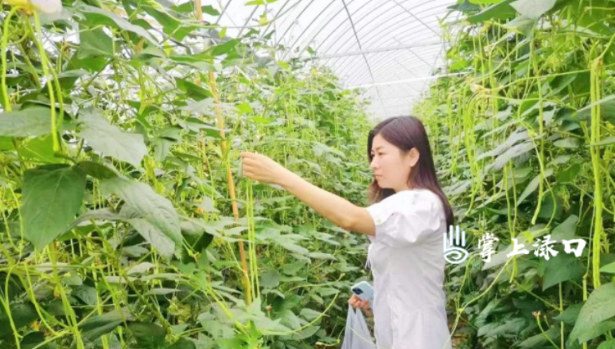 渌口区：严把“质量关” 为“三考”保驾护航