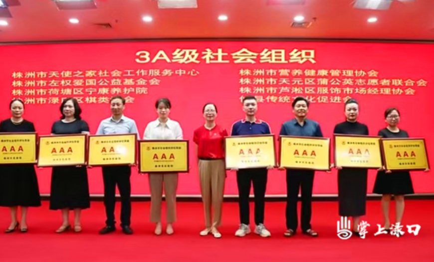 喜报！渌口区棋类协会荣获“株洲市3A级社会组织”称号