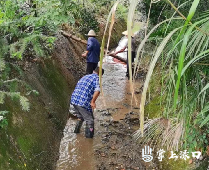 【抗旱保收】龙船镇：党群同心打好抗旱“全民战”