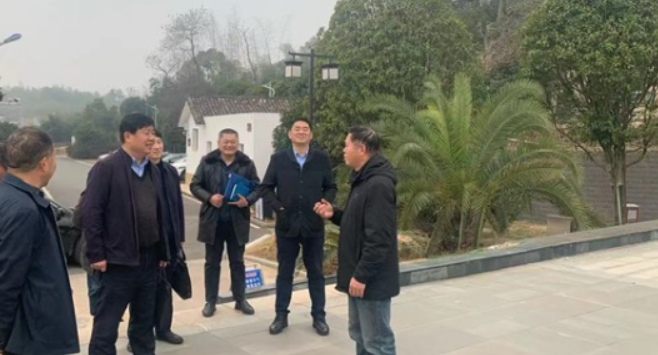 省安委会督导组一行来渌口区开展生产经营单位应急预案专项检查工作