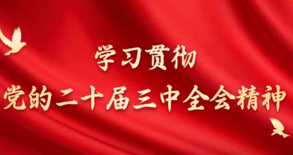 深化医疗保障改革 切实减轻就医负担（权威访谈·学习贯彻党的二十届三中全会精神）——访国家医疗保障局党组书记、局长章轲