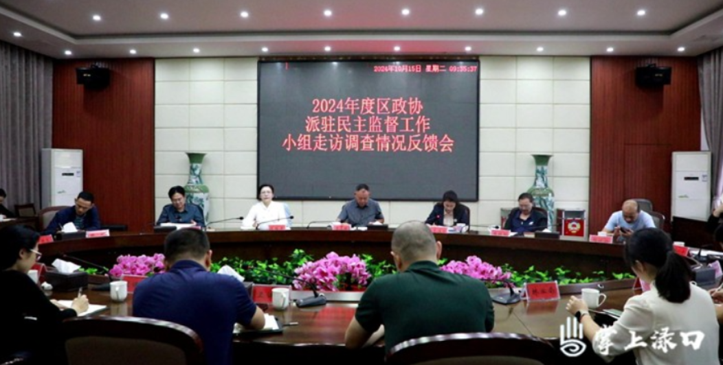 渌口区召开2024年度区政协派驻民主监督工作小组走访调查情况反馈会