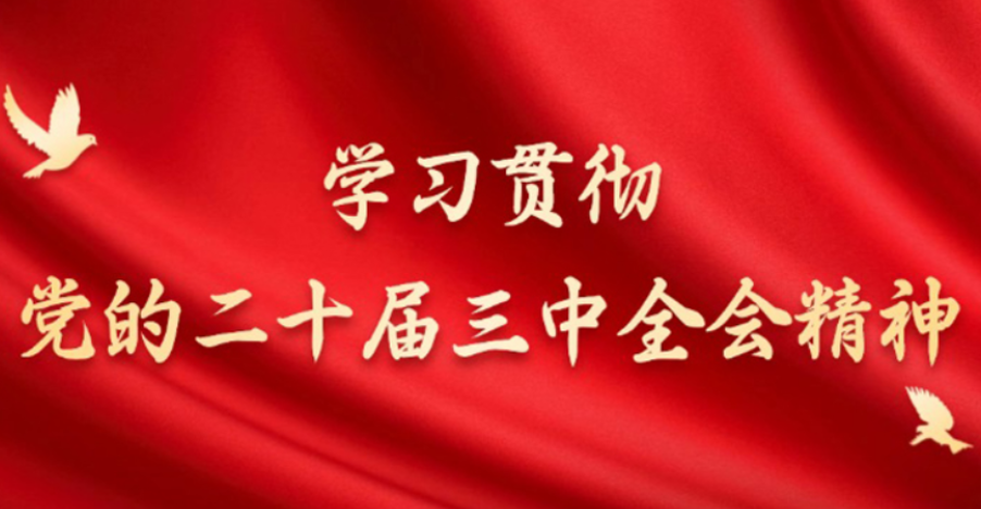 开展对象化、分众化、互动化宣讲 “零距离”向青年传递党的二十届三中全会精神（治理之道）