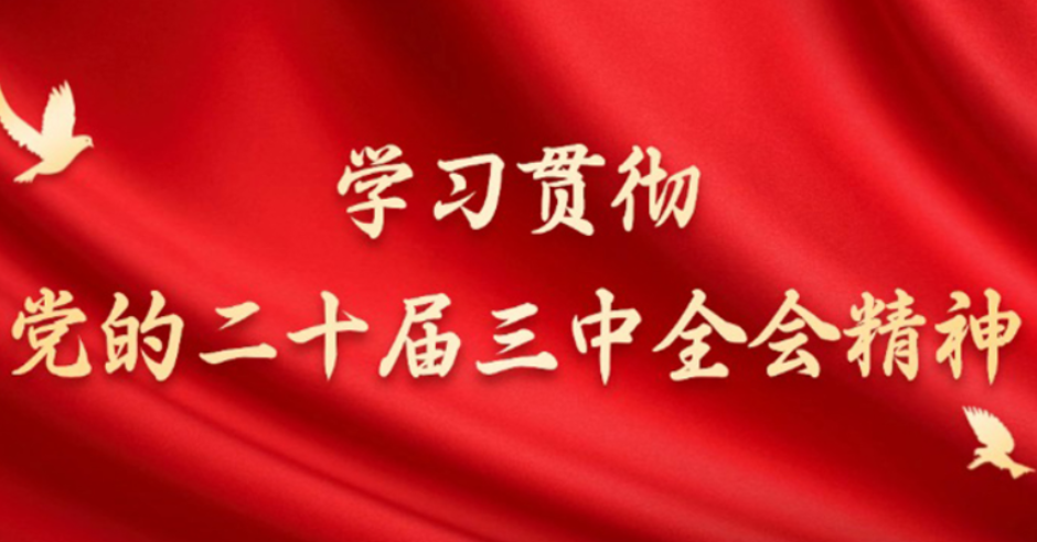 健全保障和改善民生制度体系（学习贯彻党的二十届三中全会精神）