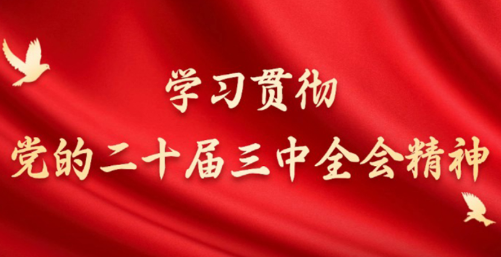塑造更高水平开放型经济新优势（评论员观察）