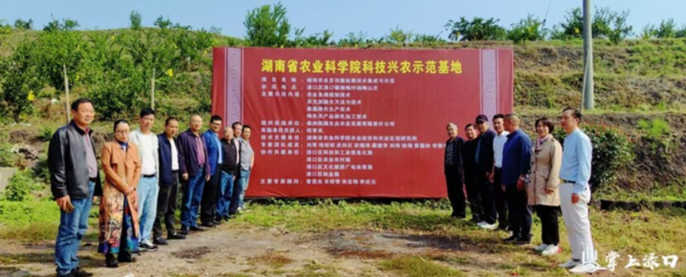 湖南省农业科学院科技兴农示范基地在渌口区杨梅山庄揭牌