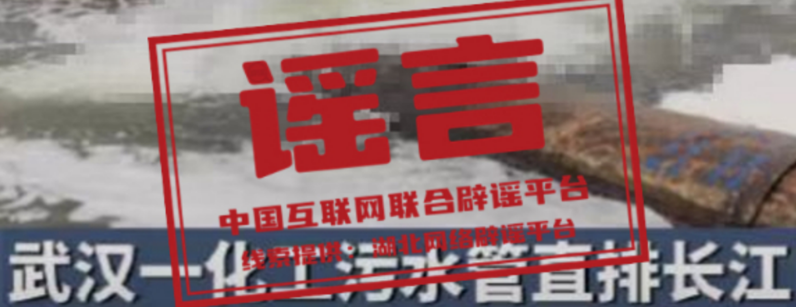 【辟谣侠盟】今日辟谣（2024年11月20日）