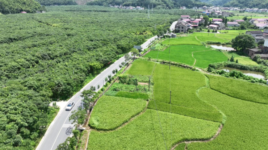 渌口区推动“乡村著名行动” 使美丽乡村“有名有实”