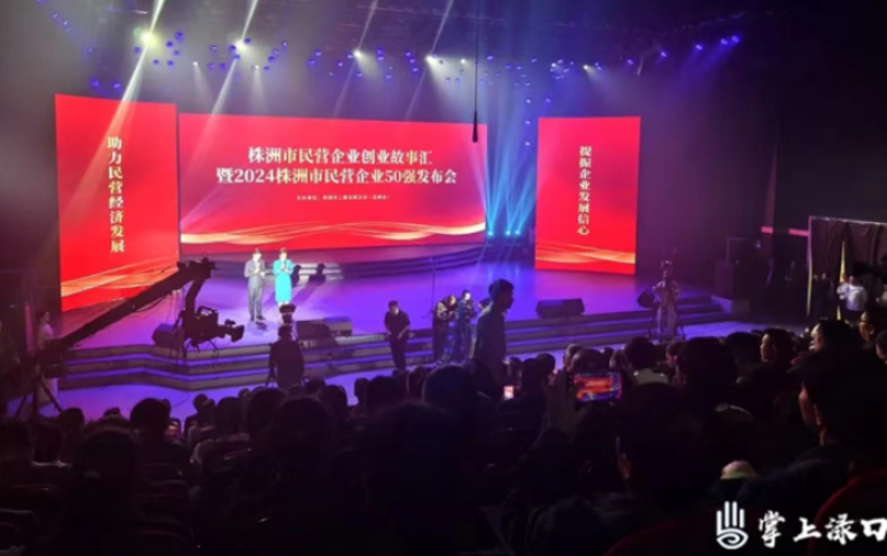 喜讯！渌口区7家企业入选2024株洲民营企业50强榜单
