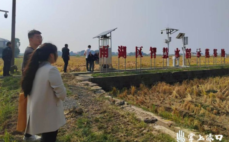 南洲镇组织种粮大户到湘潭市姜畲镇向“十佳农民”肖运河学习