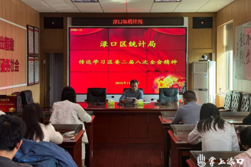 渌口区统计局组织学习区委二届八次全会精神