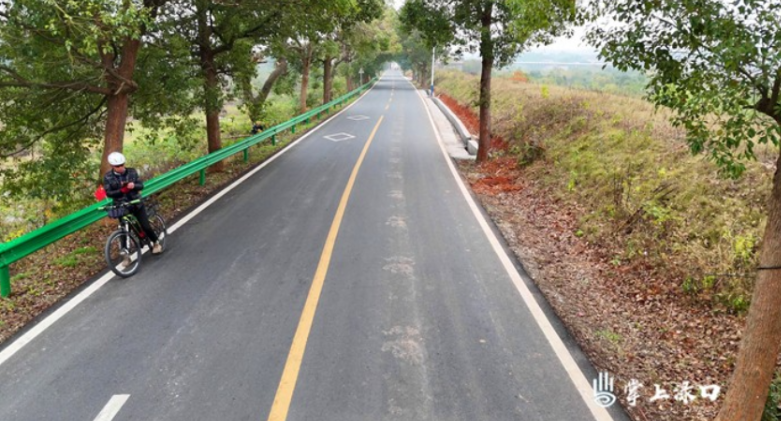 农村公路提质改造达预期：连通产业 方便出行