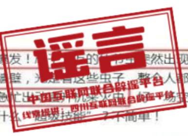 【辟谣侠盟】今日辟谣（2024年12月17日）