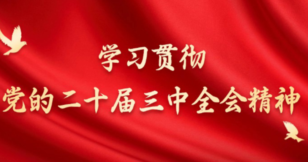以“绿”为底 能源低碳转型释放发展新潜力