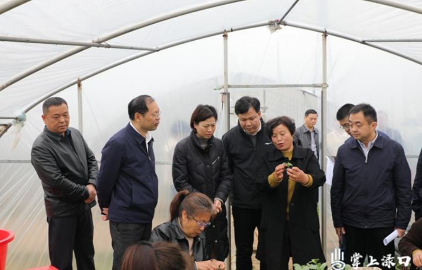 农业农村部科学技术司一行来渌口区调研农业科技创新与现代农业体系建设工作