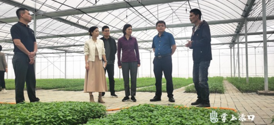 赖晓智到龙船镇调研粮食生产、防汛备汛等工作