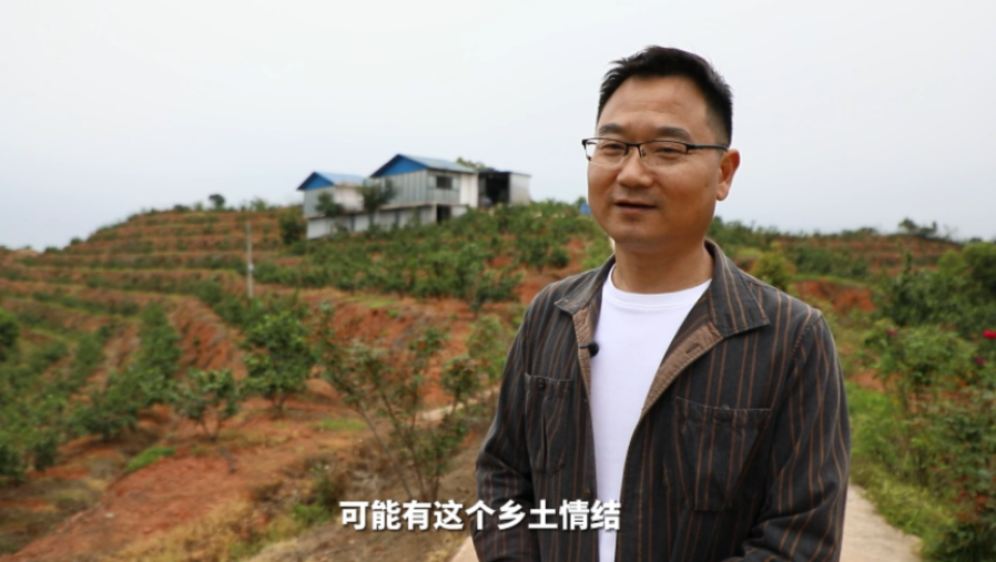 雁归来 建家乡丨黄向阳：返乡种果 助力振兴