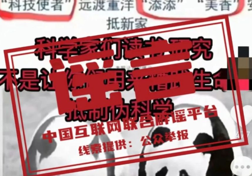 今日辟谣（2024年5月21日）