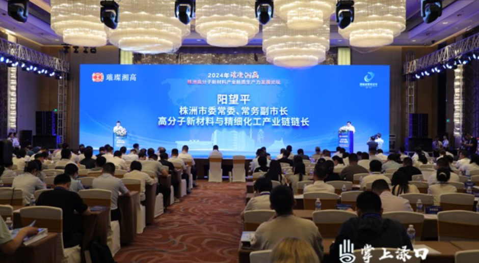 2024年璀璨湘高株洲高分子新材料产业新质生产力发展论坛召开