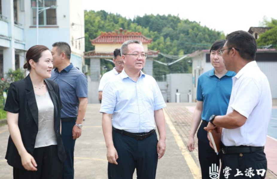 杨胜跃来渌口区龙门镇走访调研