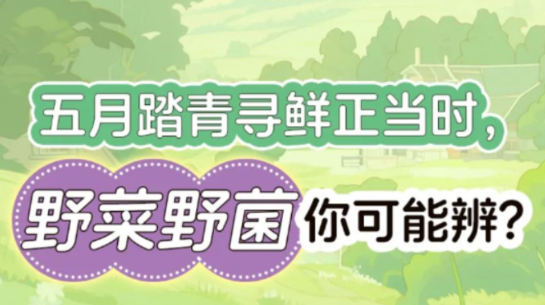 【健康渌口行动】五月踏青寻鲜正当时 野菜野菌你可能辨?