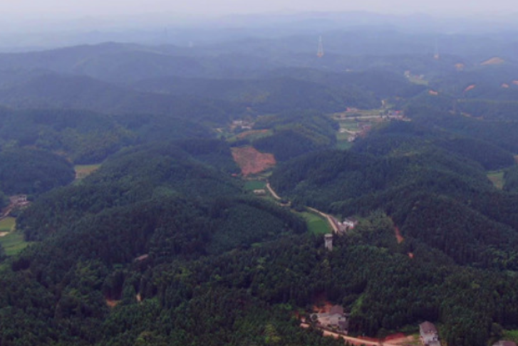 神秘湘西 诗意山水 世界环境日湖南主场活动在湘西州举行