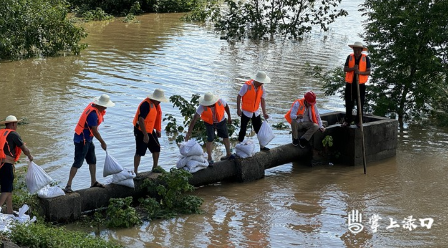 7小时调配1000多个沙袋！ 渌口区成功堵住一处渗漏