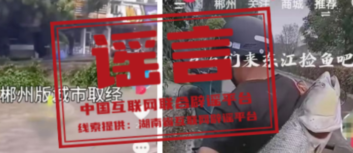 【辟谣侠盟】今日辟谣（2024年7月30日）
