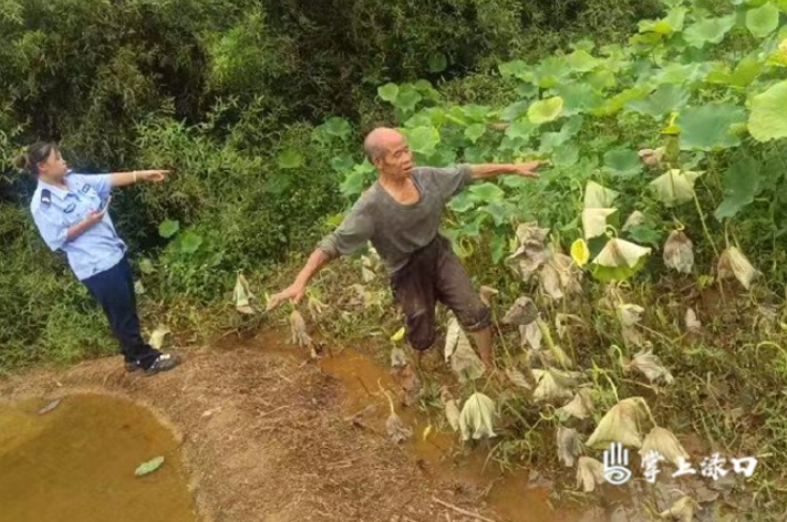 误喷农药引纠纷 网格员快调快处解纷争