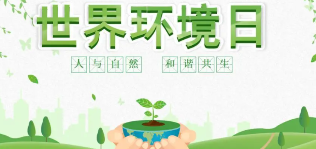 【健康渌口行动】世界环境日│守护健康土壤 共筑美好家园
