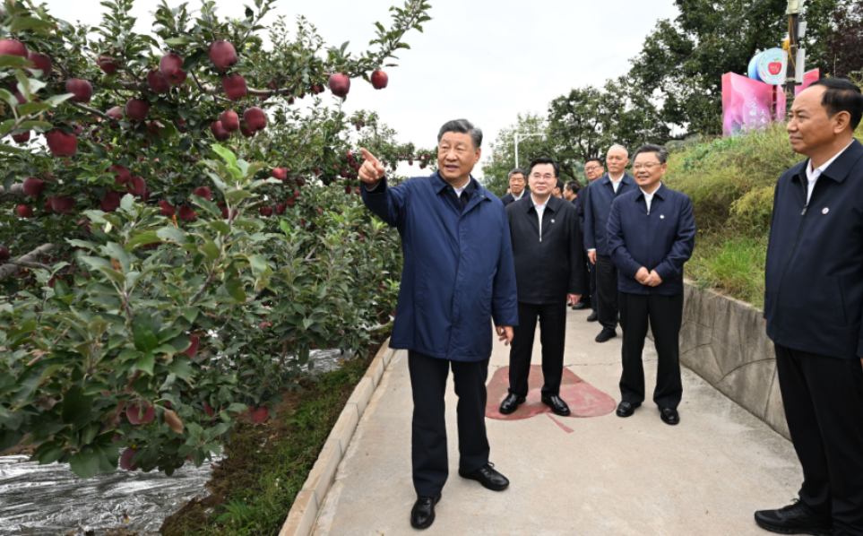 一见·从一颗苹果的故事 感悟治理之道