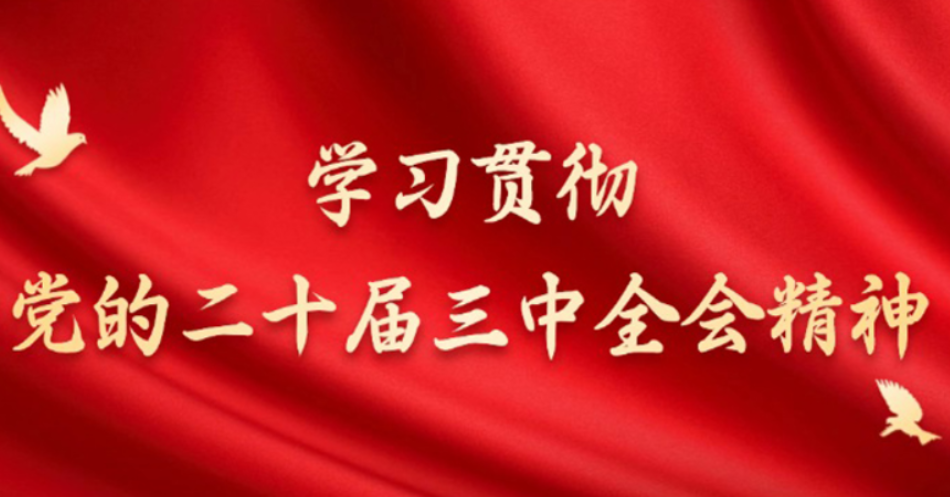 深化文化和旅游领域改革 加快建设社会主义文化强国（权威访谈·学习贯彻党的二十届三中全会精神）  ——访文化和旅游部党组书记、部长孙业礼