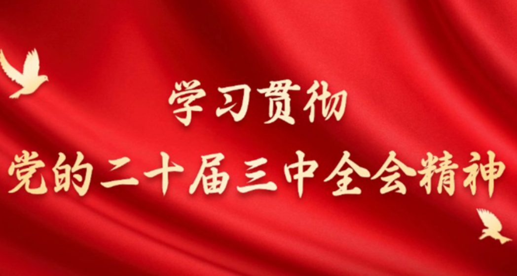 持续推动国有资本和国有企业做强做优做大（权威访谈·学习贯彻党的二十届三中全会精神） ——访国务院国资委党委书记、主任张玉卓