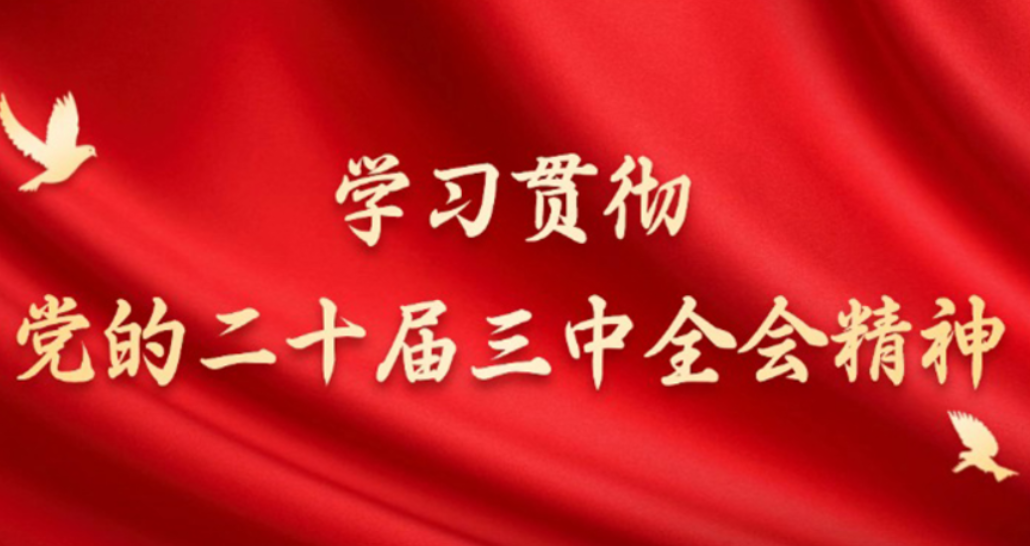 凝聚改革共识 激发奋进力量——学习贯彻党的二十届三中全会精神中央宣讲团宣讲活动综述