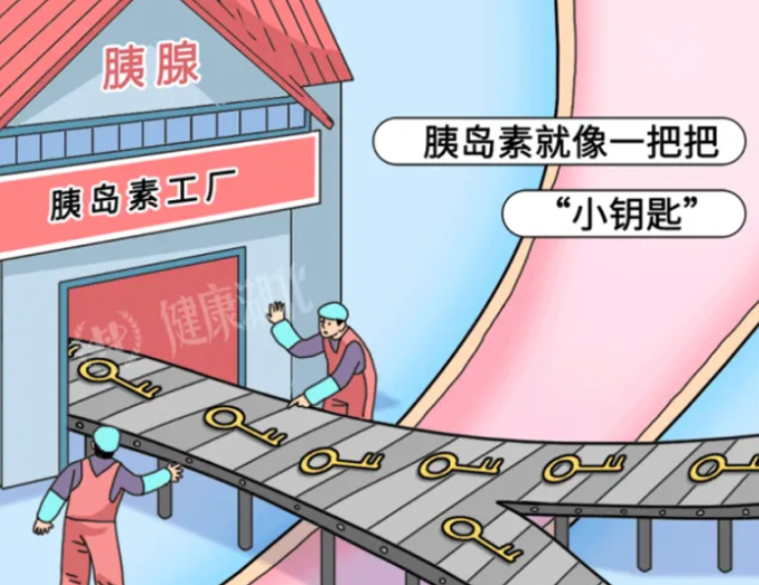 【健康渌口行动】2023联合国糖尿病日 | “了解风险、了解应对”，践行健康生活方式