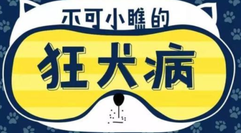 【健康渌口行动】狂犬病可防不可治 科学对待