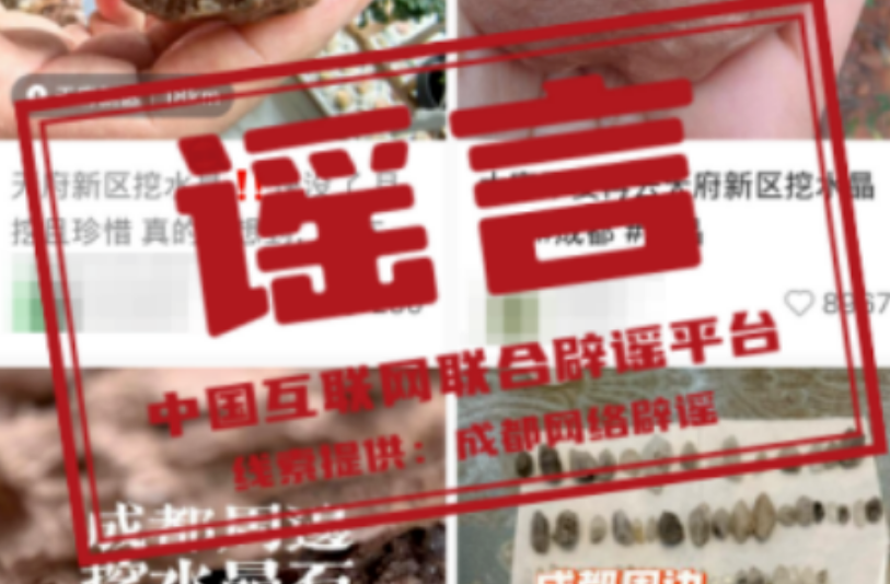 【辟谣侠盟】今日辟谣（2025年1月10日）