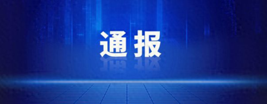 关于2起违反中央八项规定精神典型案例的通报