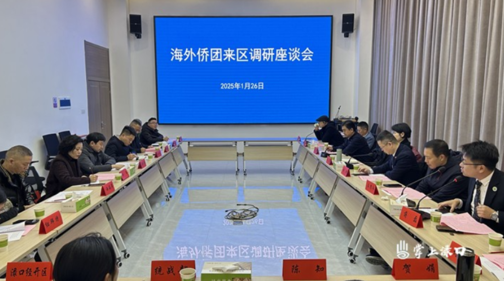 海外侨团到渌口区开展调研座谈会