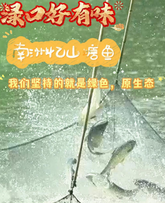 文化中国行丨南洲忆山塘鱼 我们坚持的就是：绿色 原生态