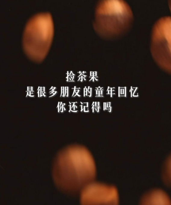 文化中国行丨南洲忆山茶油 更是家的温暖