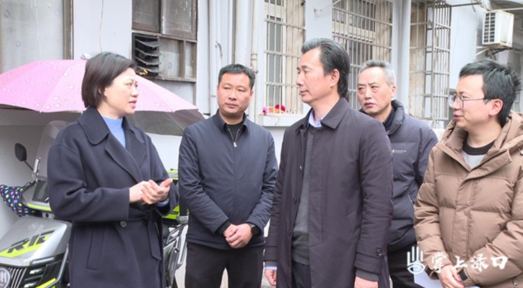 刘飞勇来渌口区调研督导地质灾害防治工作