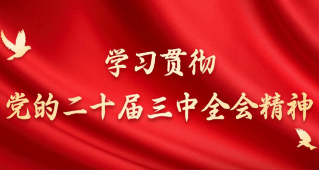 抢抓人工智能发展的历史性机遇（深入学习贯彻习近平新时代中国特色社会主义思想）——深刻领会习近平总书记关于人工智能的重要论述