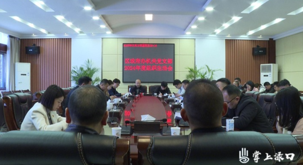 赖晓智参加区政府办机关党支部2024年度组织生活会