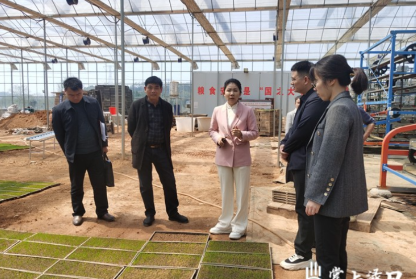 【渌口三农】社会化服务赋能农业生产  专家现场支招助力乡村振兴