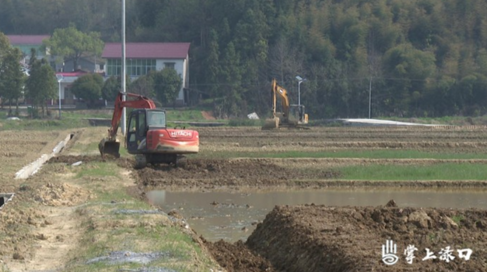 【渌口三农】龙门镇6千亩高标准农田建设即将完工