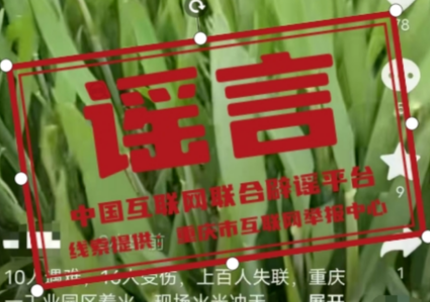 【辟谣侠盟】今日辟谣（2025年4月10日）