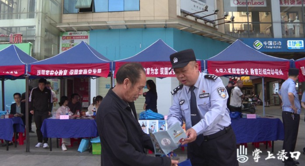 渌口区开展全民国家安全教育日主题宣传活动