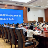 李晓彤主持召开二届区委第八轮巡察问题集中交办会