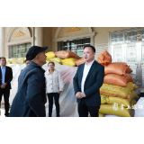 李晓彤调研粮食生产和收购工作
